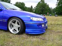 petershagen_2006_151