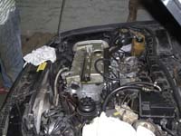 CIMG0239